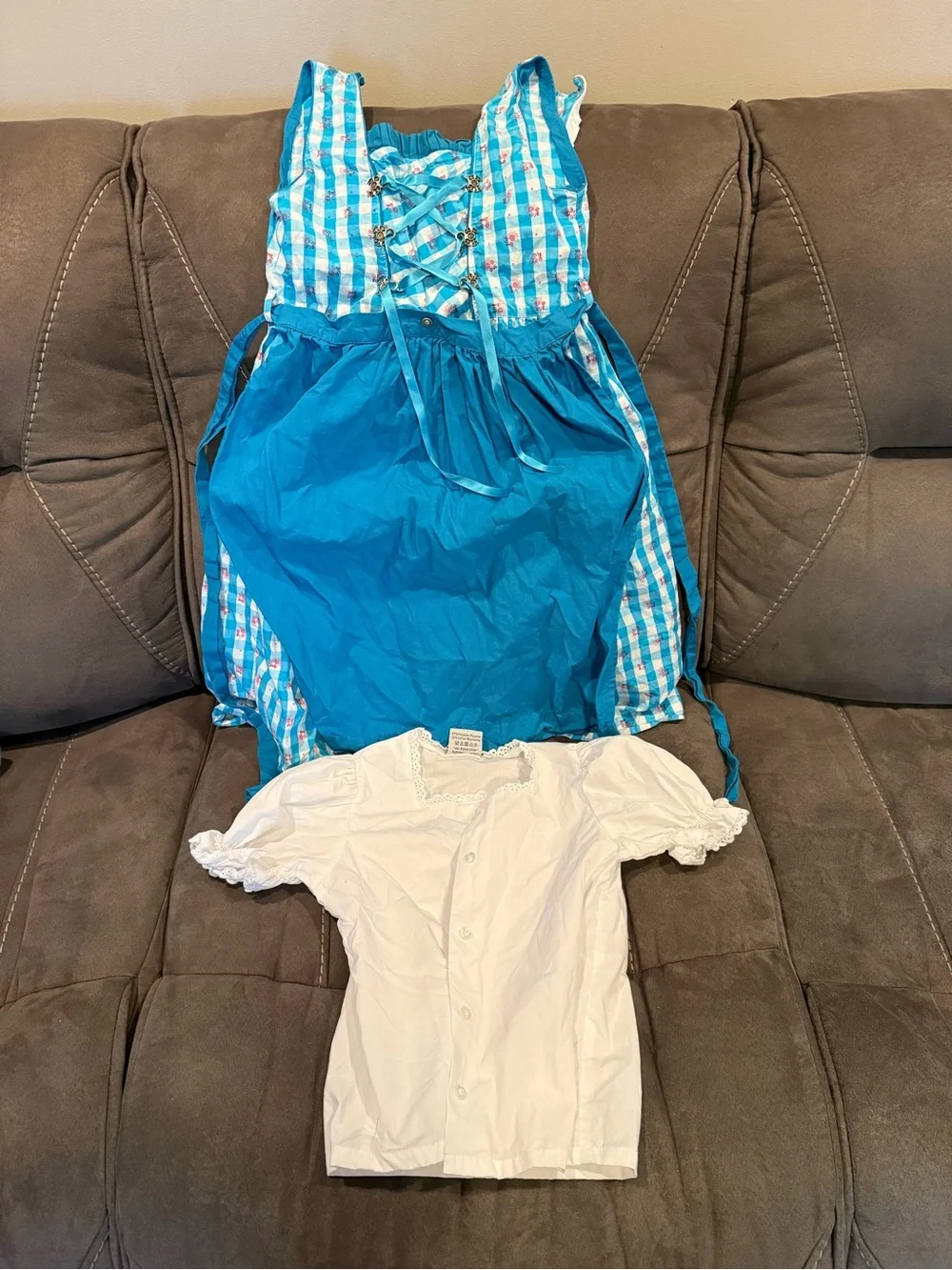 Blue Checkered Dirndl Dress with White Blouse